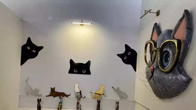 Mysuru man honours his late pet cat by opening a one-of-a-kind museum