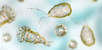 Why are scientists calling for urgent action on amoebas?