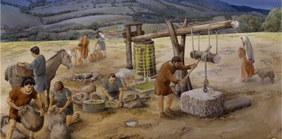 Olives have been essential to life in Italy for at least 6,000 years – far longer than we thought