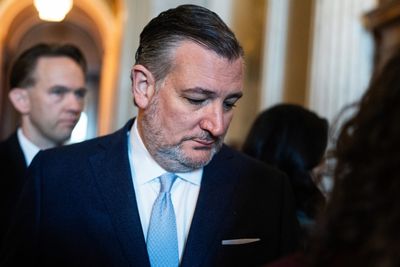 Senate panel delays action on satellite licensing bill