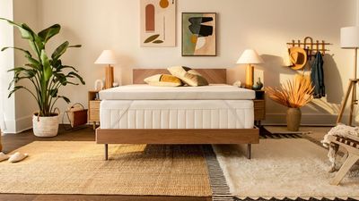 Struggling to Sleep? This Tempur-Pedic Topper Is Plush, Supportive, and Boasts Outstanding Motion Isolation – Reduced by $100 for Today Only