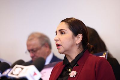 Democrat says DHS is the greatest threat to America