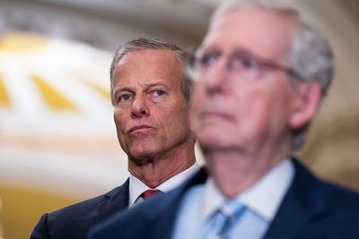 Top Republicans throw cold water on ‘nationalizing’ elections 