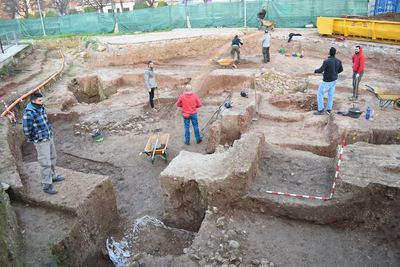 'Landmark' elephant bone finding in Spain may be from time of Hannibal's war against Rome