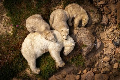 Public to choose favourite nature image from ‘truly exceptional’ list