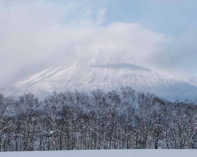 Australian man dies skiing in Japan days after Queensland snowboarder killed in ski lift accident