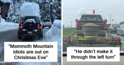 People Are Shaming Dumb Drivers And These 56 Are Unbelievable (New Pics)