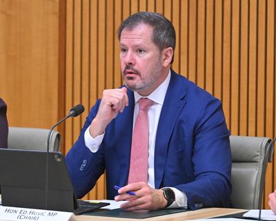 ‘I don’t think this was a good decision’: Labor’s Ed Husic holds ‘deep concerns’ over Israeli president Isaac Herzog’s visit