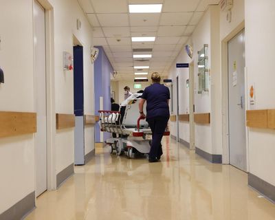 Doctor previously banned from complex surgery in NSW given senior clinical safety role with Queensland Health