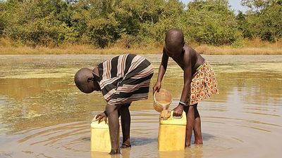 Guinea worm is close to being the second disease eradicated in history, following smallpox