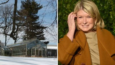 'I am never without fresh produce' – How Martha Stewart Plants Her Greenhouse for Crisp and Delicious Vegetables All Winter