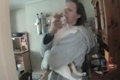 Lucy Letby asks to hug cat in newly released arrest footage