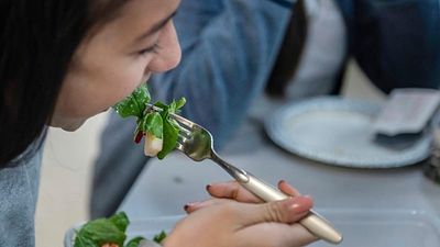 Calorie restriction increases the effectiveness of chemotherapy, study finds