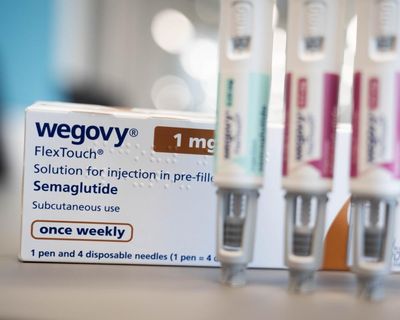 Wegovy and Ozempic maker forecasts sharp drop in revenue for 2026