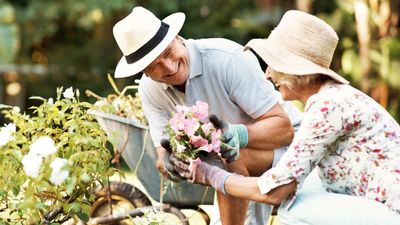 I Asked ChatGPT Where Upper-Middle-Class Retirees Can Live Like Royalty on a Budget