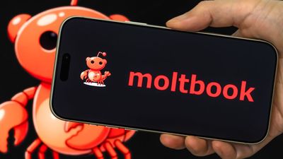 I hung out inside Moltbook, the AI-only social network where humans are the outsiders