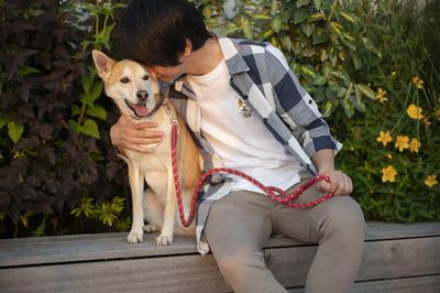 3 Reasons You Should Never Put a Collar on Your Pet