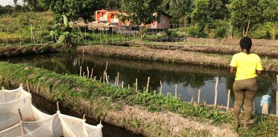 Sierra Leoneans who live off the sea don’t trust farmed fish – but wild fish are in decline