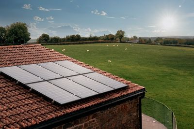 Hive solar panels: How much they cost and are they worth it?