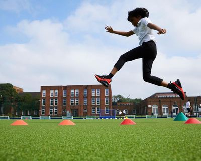 PE funding and the true cost of obesity