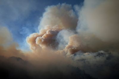 Study shows particle pollution from wildfire smoke was tied to 24,100 deaths per year in the US