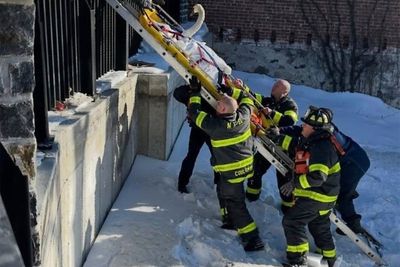 Firefighters rescue swan stuck in frozen Connecticut river
