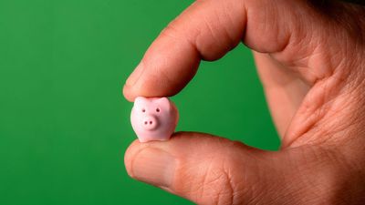 Your Savings Account May Be Costing You More Than You Think