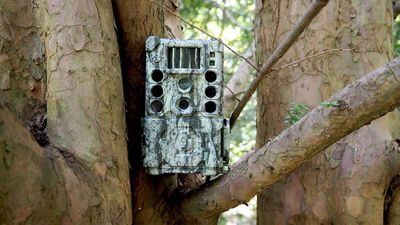 7 ‘hidden’ security cameras for discreet monitoring that blend into the background