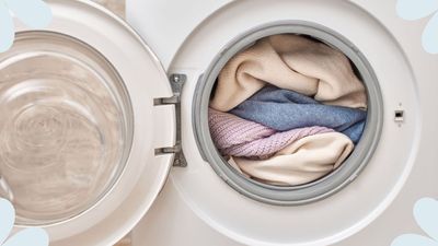 Why is my tumble dryer not drying? Appliance experts reveal reasons for damp washing