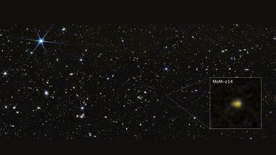 James Webb Space Telescope finds most distant galaxy ever detected: 'It looks nothing like what we predicted'