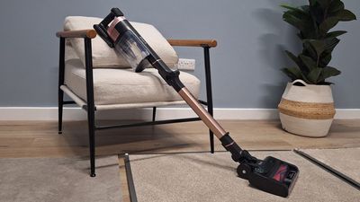 I wanted to see if this old, affordable Shark vacuum could hold its own against the fanciest new models – I was amazed by the results