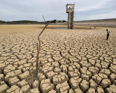 Flawed economic models mean climate crisis could crash global economy, experts warn
