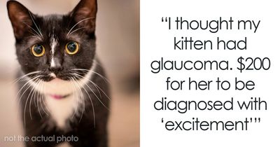 33 Vet Visits That Turned Out To Be Much Less Serious Than Expected