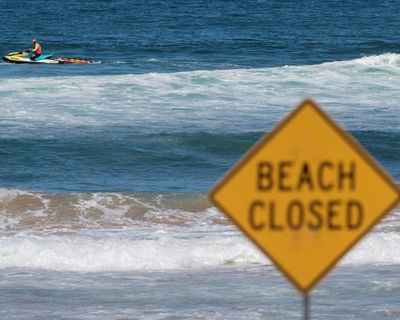 Shark attacks in Australia: where is it safest to swim and what times should I avoid?