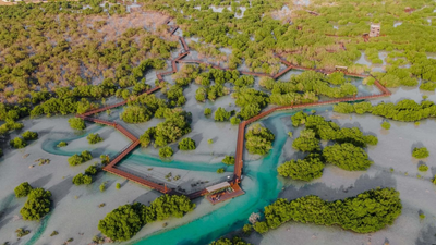 UAE: Abu Dhabi launches ‘World’s Richest Seas’ initiative to increase fish density by 2030