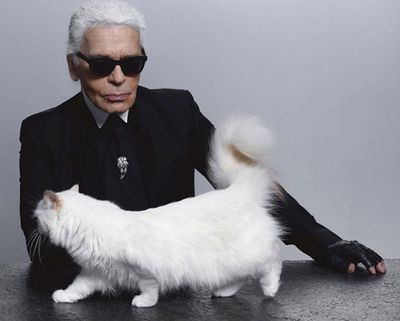 Cat fight over Karl Lagerfeld's €200m fortune: Will battle after legendary designer favoured beloved pet Choupette over family