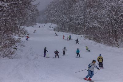 Australian man, 27, dies while skiing with friends in Japan