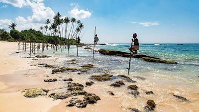 Dreamy beaches and incredible wildlife: Sri Lanka just launched a digital nomad visa