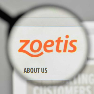 Do Wall Street Analysts Like Zoetis Stock?