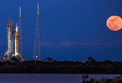 We urgently need to research how humans can reproduce in space, scientists say