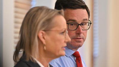 'Delaying tactic': fresh bid to save coalition in doubt