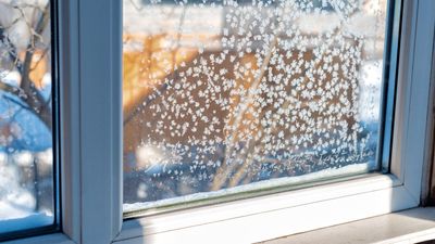 Winter brings 3 types of damp — here's how to spot and treat them before they spread