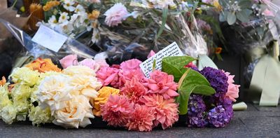 Lessons from Bondi Junction attack show what we really need from schizophrenia care