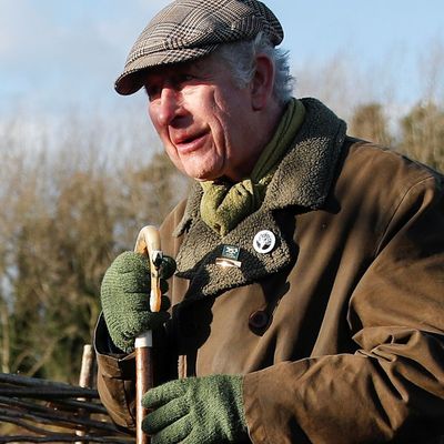 King Charles Gives A Special Look Inside “Epic” Cluckingham Palace