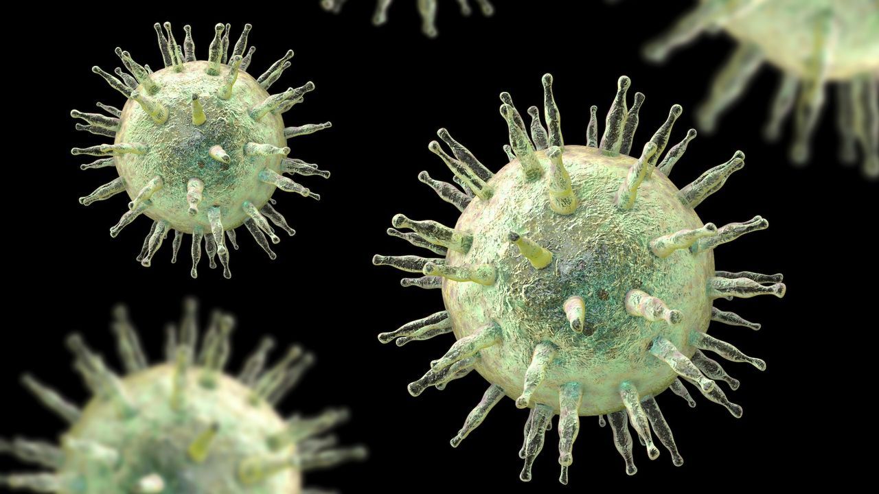 The 'mono' virus raises the risk of MS and cancer in some. 22 genes hint at why.