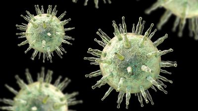 The 'mono' virus raises the risk of MS and cancer in some. 22 genes hint at why.