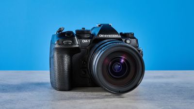 ‘It breaks the laws of physics’: the OM System OM-1 Mark II is now my favorite wildlife camera, and its 120fps burst isn’t even the best part