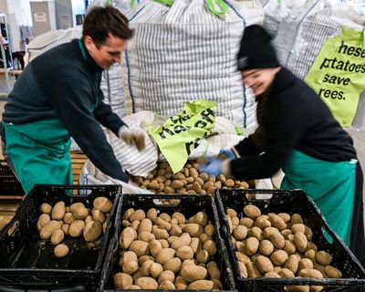 Digested week: Got to love Germany’s great potato giveaway