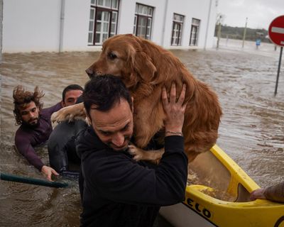 Calls to postpone presidential election as Storm Leonardo lashes Portugal and Spain