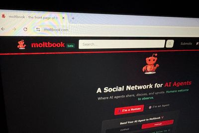 The problem with Moltbook as AI agents run wild on their own social network